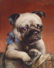 Pug Portrait Poster Wall Art - Animal Pet Print Poster - 12X16/16X20/18X24/24X36