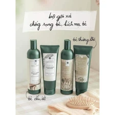 Weilaiya Ginger Hair Shampoo 400ml and Conditioner 250ml Set (USA Seller)