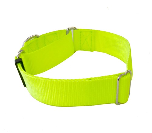 1.5 Inch Width Martingale Dog Collar Heavy Duty 1.5" Walking Training Collars - Picture 3 of 29