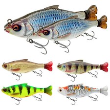 Savage Gear 3D Hard Pulsetail Roach 13,5 cm 18 cm SS esca da nuoto wobbler coda a impulsi 