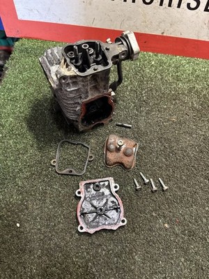 Stihl br700 Br600 Rucksack Laubbläser Motor Zylinder
