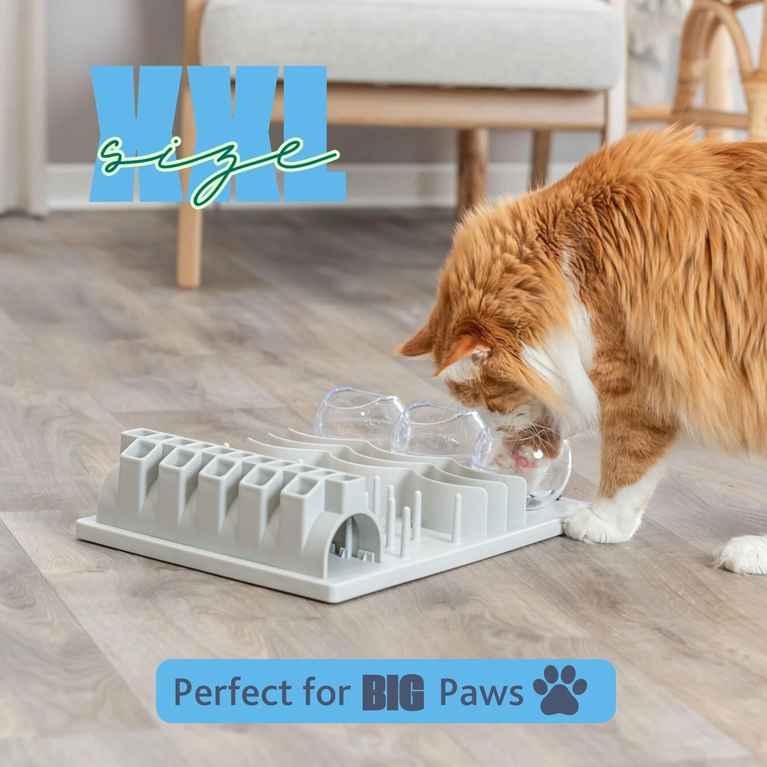 Cat Activity Fun Board XXL Strategy Game 5-Level Treat Puzzle Mental Stimulation