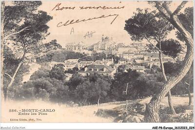 AKEP8-0584-EUROPE - Monaco - Monte-Carlo - Zwischen Den Kiefern