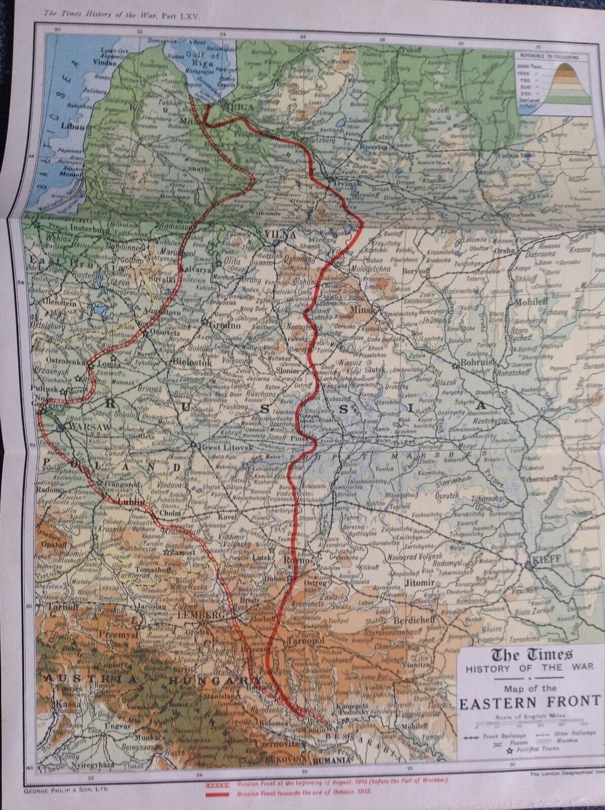 Picture 1 of 1