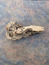 Natural Driftwood for Plants Terrarium Taxidermy Art Projects