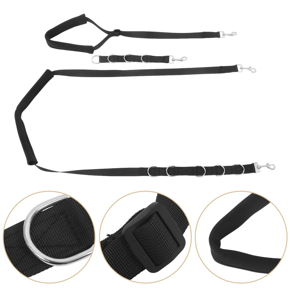 Accessori per la toelettatura cani