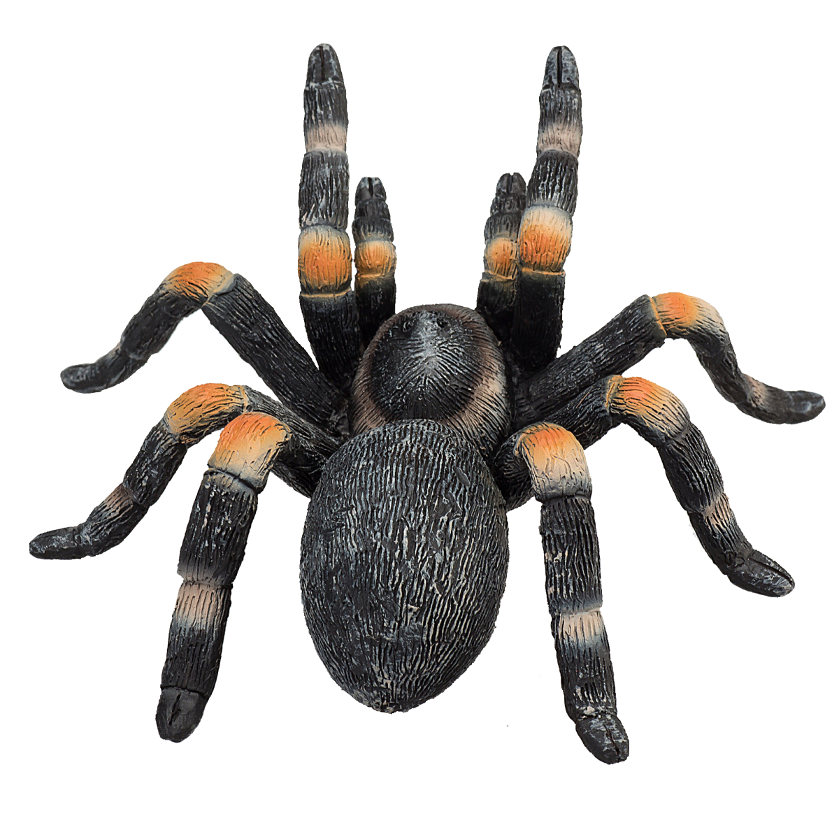 RED KNEED TARANTULA Wild zoo animals play model figure toys plastic spider