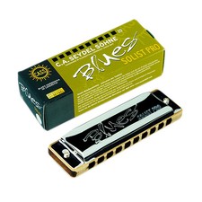 SEYDEL Blues SOLIST PRO Harmonica key of Low D