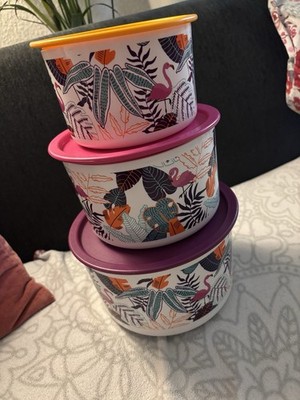 Tupperware Keksdosen 2x940 ml NEU Ergonomica Behälter Bingo One Touch