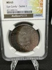 1885 Morgan Silver Dollar NGC MS63 $1 Uncirculated Eye Candy Series 1 Toner