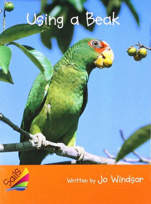 #ad Using a Beak Sails Fluency 1 $48.74