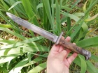 Rare WW1 Imperial German Soemmerda Trench Knife S71/84 Regimental Marked