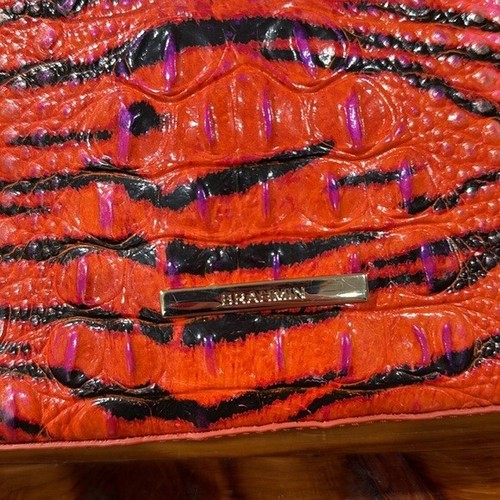 NEW Brahmin Katie Pink Feline Ombre Melbourne Crossbody - Picture 16 of 16