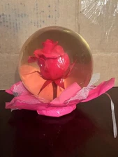 Assorted Rose Globe. Bill Doran. Mexico pink