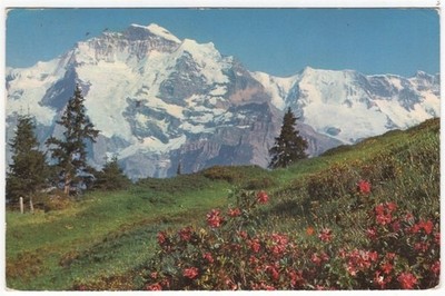 Luzerne Switzerland Mountains of Snow and Flowers Vintage Postcard