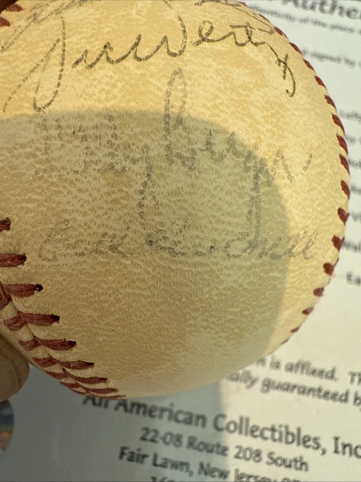MUSIAL DiMaggio Feller SIGNED BASEBALL Also Lefty Grove Earl Averill, Vic Wertz+ - Image 4 of 4