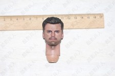 Head Sculpt Hot Toys The Falcon And Winter Soldier 1/6 Action Figure HT TMS039