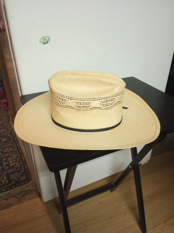 Sombrero de Vaquero de Paja Bangora Genuino Marca Castor Talla 6 7/8 Foto 3 de 4