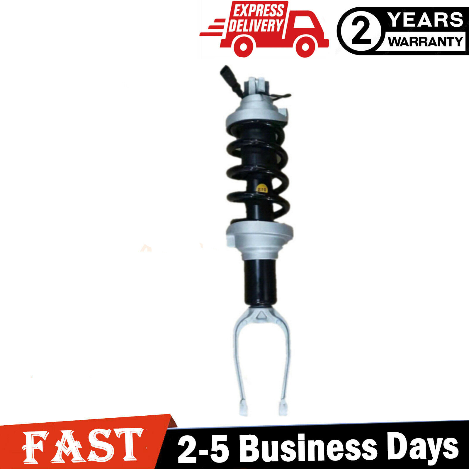 1x For Audi R8 V8  Front Left Or Right Shock Strut Magnetic 4S0412019N 2016-2021