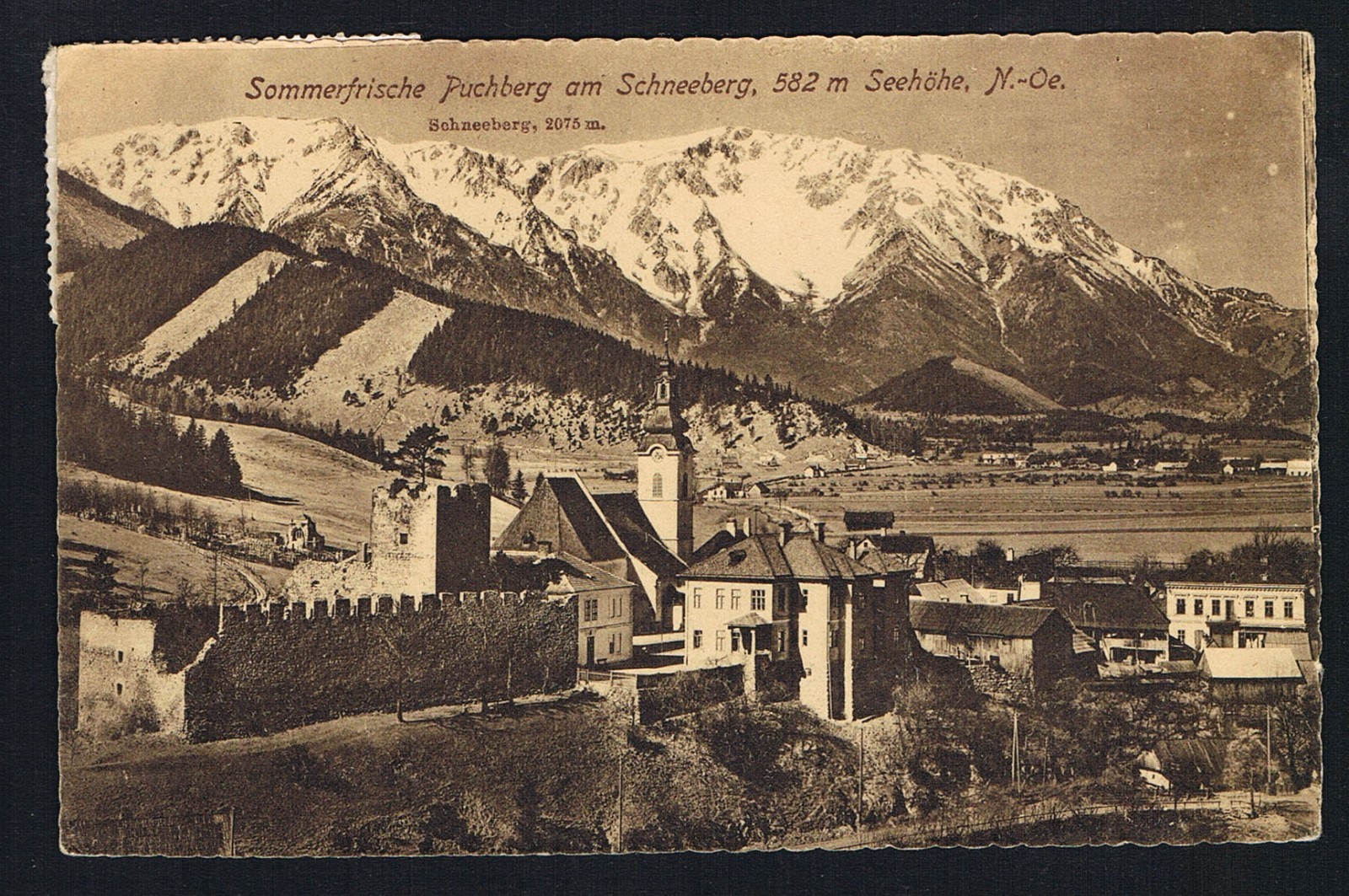 1AK ANSICHTSKARTE CARTOLINA AUSTRIA ÖSTERREICH Sommerfrische Puchberg Schneeberg
