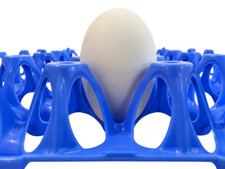 VASSOIO PORTA UOVA OVOBOX PER UOVA DI OCA E TACCHINO - INCUBATRICI BOROTTO