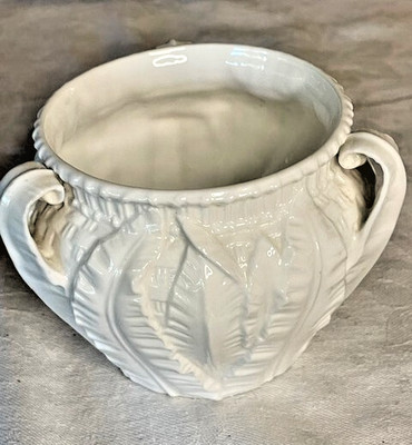 Vtg Royal Worcester Small  Bisque Bowl with acanthus design