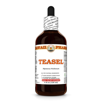 Teasel (Dipsacus Fullonum) Dried Root Liquid Herbal Extract