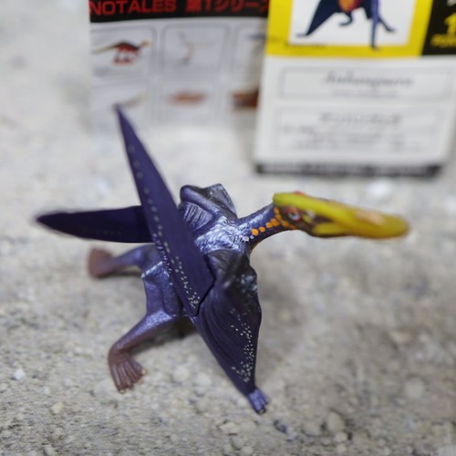 Kaiyodo Chocolasaurs Dinotales Anhanguera Miniature Figure Rare - Picture 6 of 7