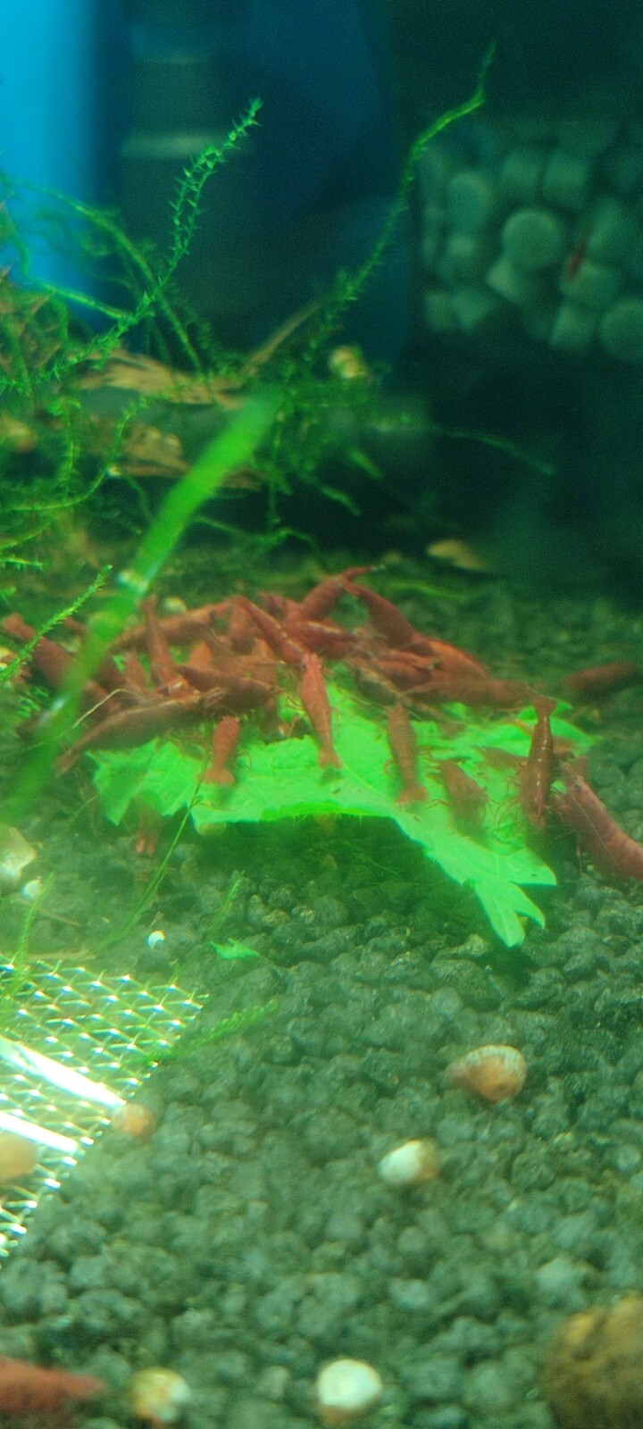 Foto 4 di 8