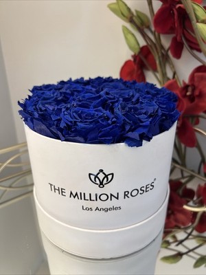 The Million Roses Los Angeles Luxury Preserved Royal Blue Roses - Bouquet Gift