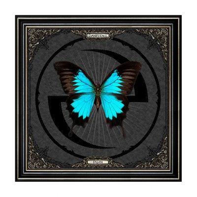Evanescence - Fallen 20th Anniversary Limited Edition Deluxe Vinyl