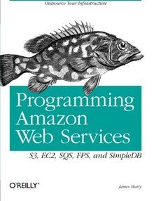 Programming Amazon Web Services - S3, EC2, SQS, FPS... | Buch | Zustand sehr gut