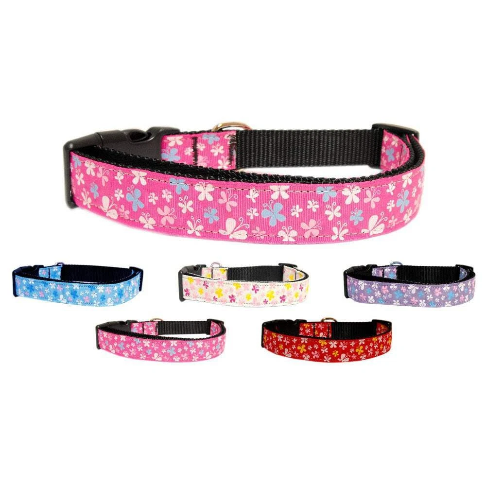 Pet Dog & Cat Nylon Collar or Leash, "Butterfly"
Opens in a new window or tab