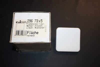 Gira Fläche altes System Wippe 29673 für Schalter / Taster in reinweiß - NEU