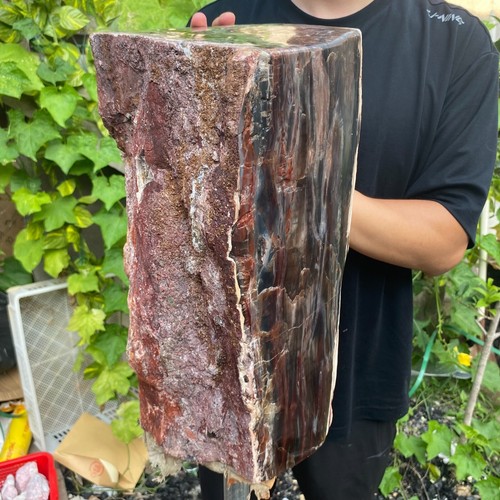 71lb Rare Natural petrified wood rough Wood fossil mineral specimen healing