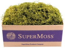 SuperMoss 27012 Spanish Moss Preserved Chartreuse 3lbs