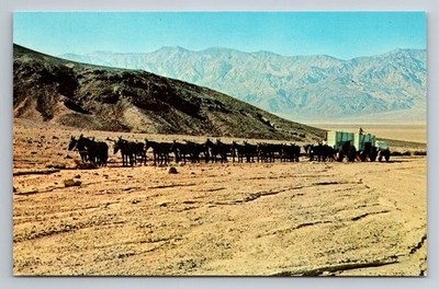 Vintage Death Valley 20 Mule Team Postcard by Dexter Press Photochrome