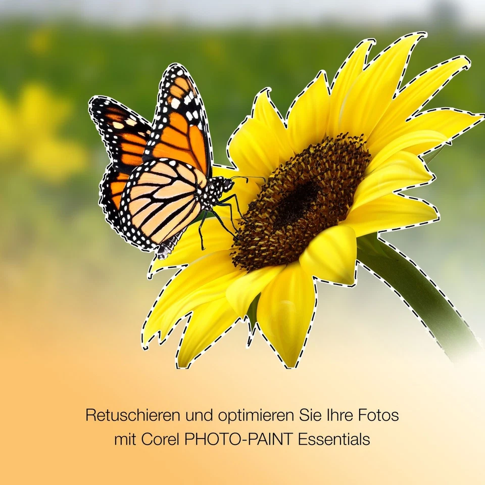 CorelDRAW Essentials 2024 inkl.PHOTOPAINT Essentials, Windows Digitaler Download - Bild 2 von 4