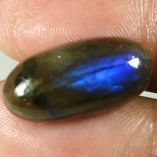 100 Natural Labradorite Oval Cabochon Loose Gemstones 11.95Cts 11x 21x 06mm
