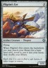 Magic the Gathering MTG Pilgrim's Eye (55) Game Night   NM