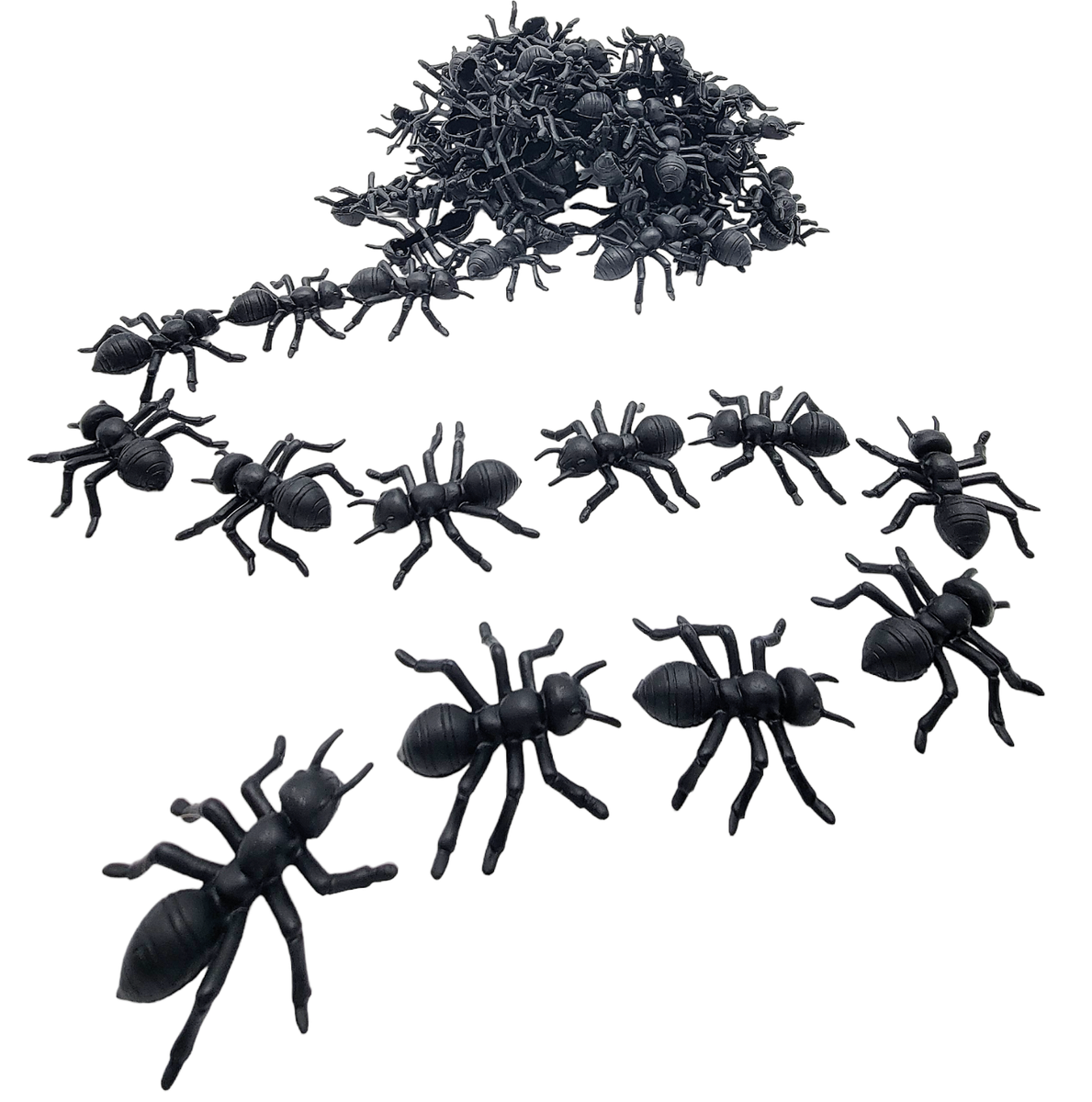 Large Black Carpenter Ant Toys (72 Pack) Plastic. 1.5