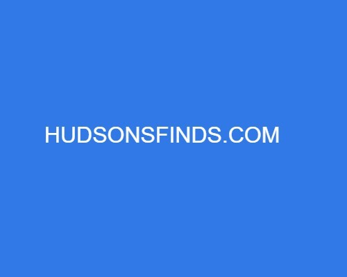 Dominio HUDSONSFINDS dot COM in vendita - Foto 1 di 1