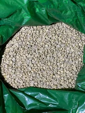 Kenya AA Specialty Grade of Premium Arabica Green Coffee Beans