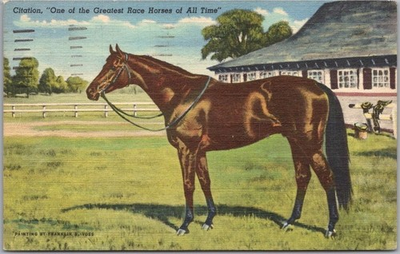 #ad Racehorse CITATION Postcard Triple Crown Winner Linen 1950 Louisville Cancel $5.83