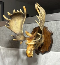 FRANCE vtg 1970s Trophy Plaque MOOSE HEAD MOUNT Man Cave HUNTING CABIN DECOR