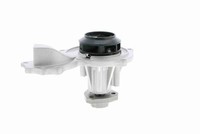Wasserpumpe Vaico V10 50045 FÜR Audi Ford Seat VW Wasserkreislaufpumpe