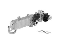 Borgwarner (Wahler) 710861D Agr-Modul FüR Audi Seat Skoda Vw