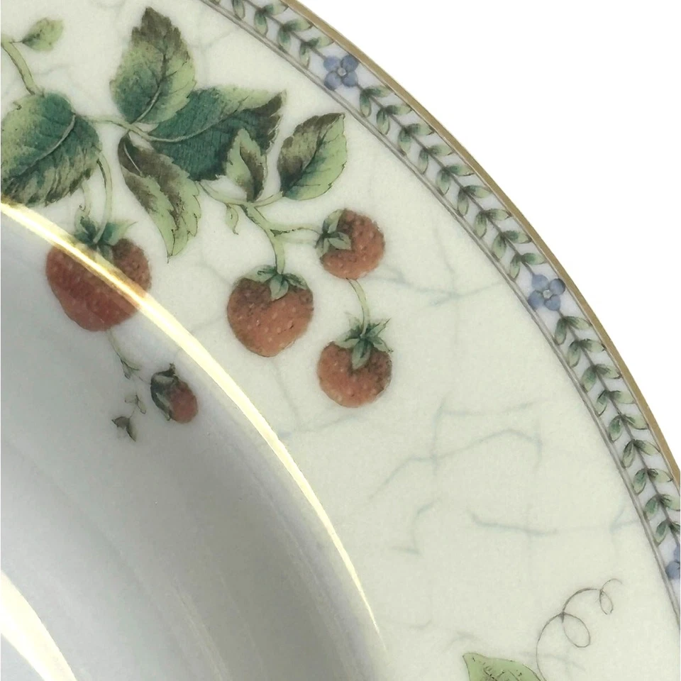 Cuencos de sopa/pasta de borde grande Wedgwood Vintage 1997 "Fleur" 9" - Excelente - Juego de 8 Foto 4 de 4