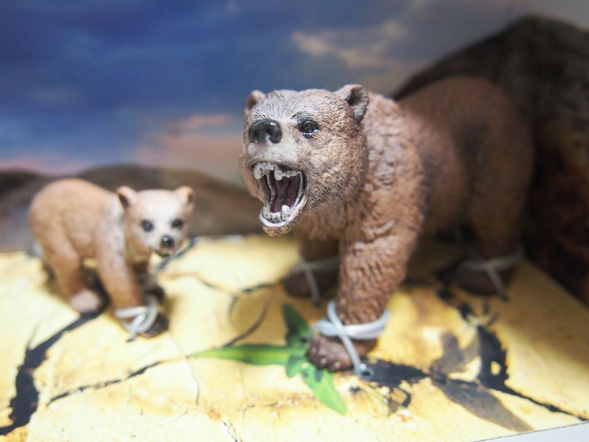 Schleich Animals 41384 Wild Life North America Scenery Pack Schleich Animals 41384 Wild Life North America Scenery Pack