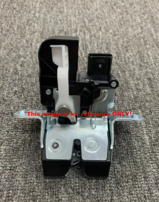 OEM 81800-DO000 / 818L0-DO100 LATCH ASSY-TAIL GATE Ems for EV9 2024 ...